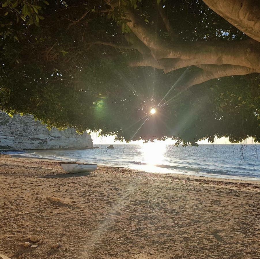 アグア・アマルガCasa Barbados En Agua Amargaアパートメント エクステリア 写真